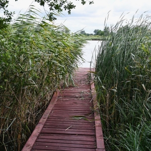 pompa-kunice-fot-zjak13.JPG