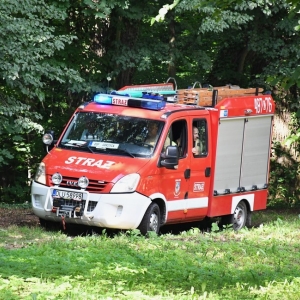 gorzelin-pszczoly-fot-zjak02.JPG