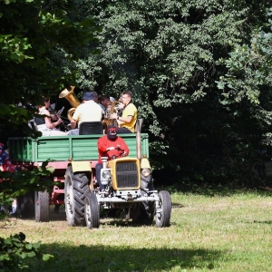 gorzelin-pszczoly-fot-zjak03.JPG