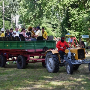 gorzelin-pszczoly-fot-zjak04.JPG