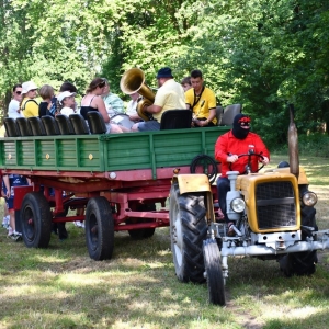 gorzelin-pszczoly-fot-zjak05.JPG