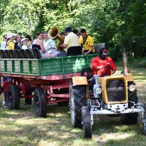 gorzelin-pszczoly-fot-zjak06.JPG