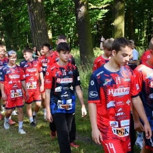 gorzelin-pszczoly-fot-zjak11.JPG