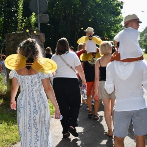 gorzelin-pszczoly-fot-zjak32.JPG