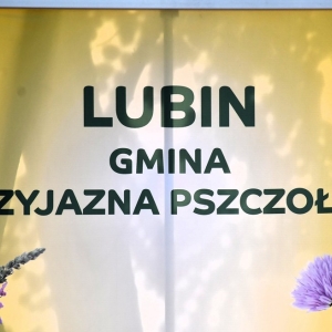 gorzelin-pszczoly-fot-zjak62.JPG
