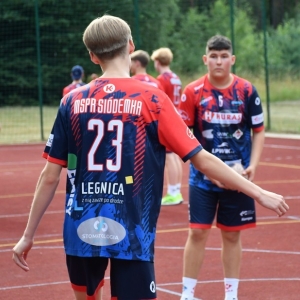 gorzelin-pszczoly-fot-zjak72.JPG