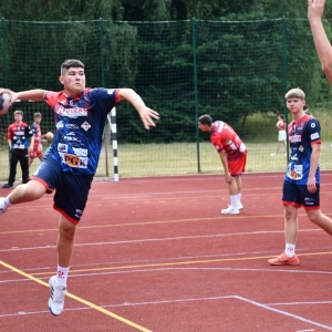 gorzelin-pszczoly-fot-zjak76.JPG