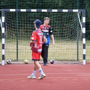 gorzelin-pszczoly-fot-zjak77.JPG
