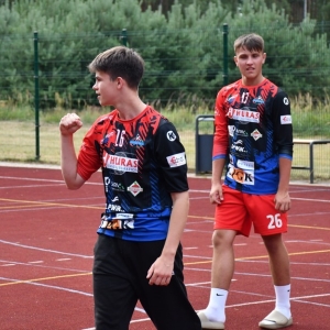 gorzelin-pszczoly-fot-zjak80.JPG