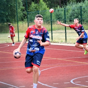 gorzelin-pszczoly-fot-zjak81.JPG
