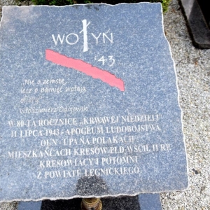 wolyn25.jpg