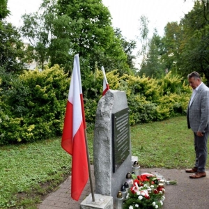 wolyn36.jpg