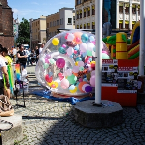 bbracia-collins-galeria-fot-jakub-wieczorek069.JPG