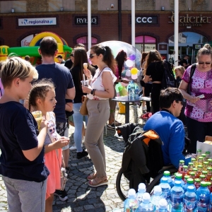 bbracia-collins-galeria-fot-jakub-wieczorek073.JPG