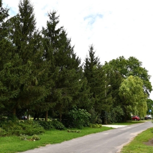 park-rogow-legnicki-fot-ewajak010.JPG
