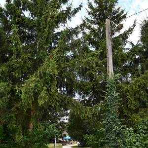 park-rogow-legnicki-fot-ewajak014.JPG