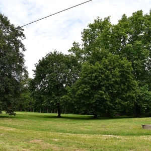 park-rogow-legnicki-fot-ewajak017.JPG