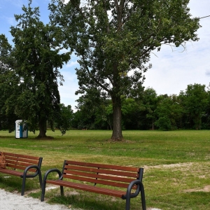 park-rogow-legnicki-fot-ewajak026.JPG