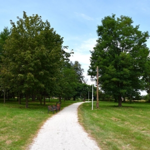park-rogow-legnicki-fot-ewajak044.JPG