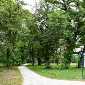 park-rogow-legnicki-fot-ewajak246.JPG