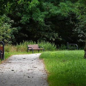 park-rogow-legnicki-fot-ewajak251.JPG