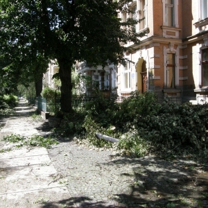 miasto-po-wichurze-fot-mariusz-witkowski03.jpg