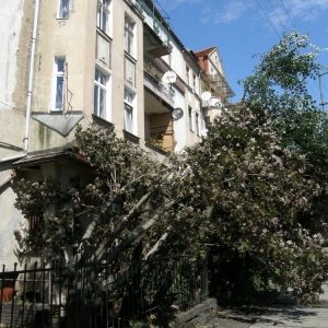 miasto-po-wichurze-fot-mariusz-witkowski06.jpg