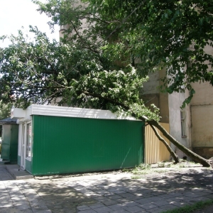 miasto-po-wichurze-fot-mariusz-witkowski07.jpg