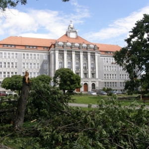 miasto-po-wichurze-fot-mariusz-witkowski09.jpg
