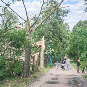 miasto-po-wichurze-fot-mariusz-witkowski095 (112).JPG