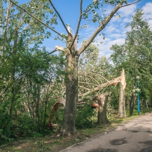 miasto-po-wichurze-fot-mariusz-witkowski095 (113).JPG