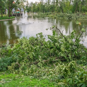 miasto-po-wichurze-fot-mariusz-witkowski095 (16).JPG