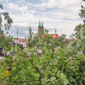 miasto-po-wichurze-fot-mariusz-witkowski095 (41).JPG
