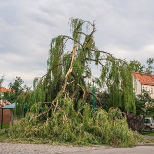 miasto-po-wichurze-fot-mariusz-witkowski095 (54).JPG