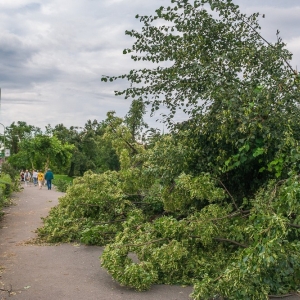 miasto-po-wichurze-fot-mariusz-witkowski095 (62).JPG