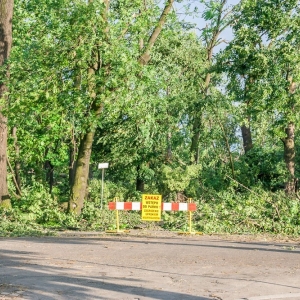miasto-po-wichurze-fot-mariusz-witkowski095 (69).JPG