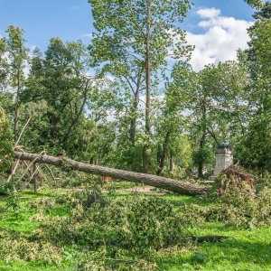 miasto-po-wichurze-fot-mariusz-witkowski095 (71).JPG