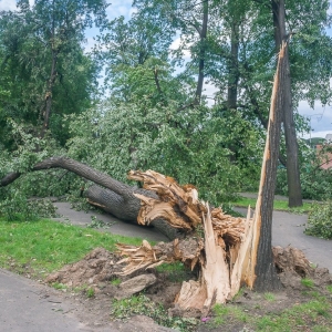 miasto-po-wichurze-fot-mariusz-witkowski095 (91).JPG