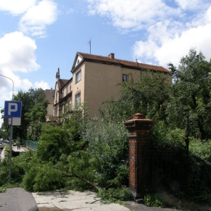 miasto-po-wichurze-fot-mariusz-witkowski11.jpg