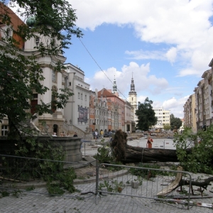 miasto-po-wichurze-fot-mariusz-witkowski17.jpg