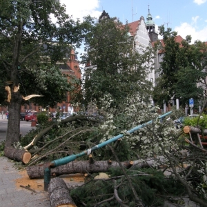 miasto-po-wichurze-fot-mariusz-witkowski19.jpg
