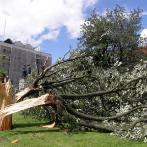 miasto-po-wichurze-fot-mariusz-witkowski20.jpg