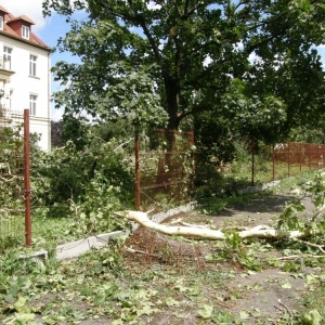 miasto-po-wichurze-fot-mariusz-witkowski24.jpg