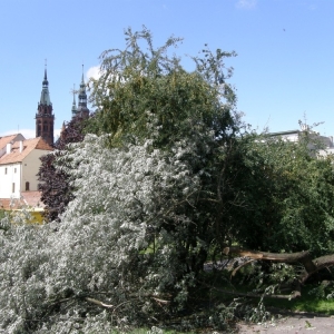 miasto-po-wichurze-fot-mariusz-witkowski26.jpg