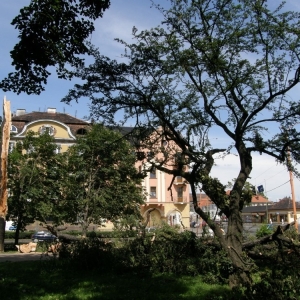 miasto-po-wichurze-fot-mariusz-witkowski31.jpg