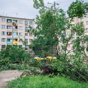 park-po-wichurze-fot-archiwum01.jpg
