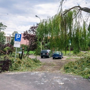 park-po-wichurze-fot-archiwum02.jpg