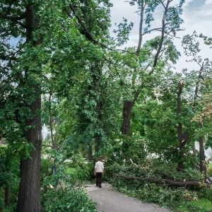 park-po-wichurze-fot-archiwum03.jpg