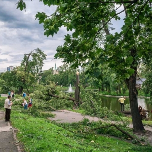 park-po-wichurze-fot-archiwum06.jpg