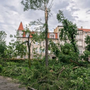 park-po-wichurze-fot-archiwum15.jpg